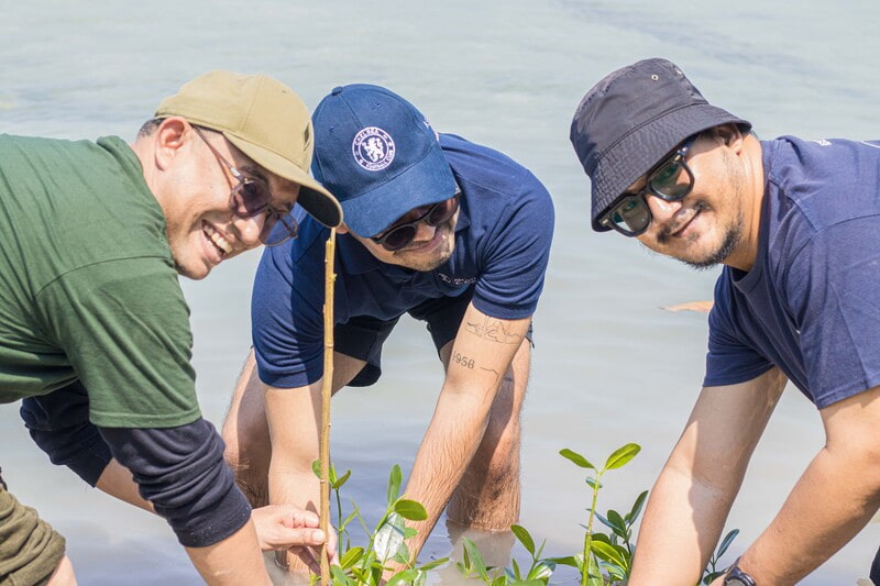 Mangrove Plantation by Ascott Indonesia on Tidung Island