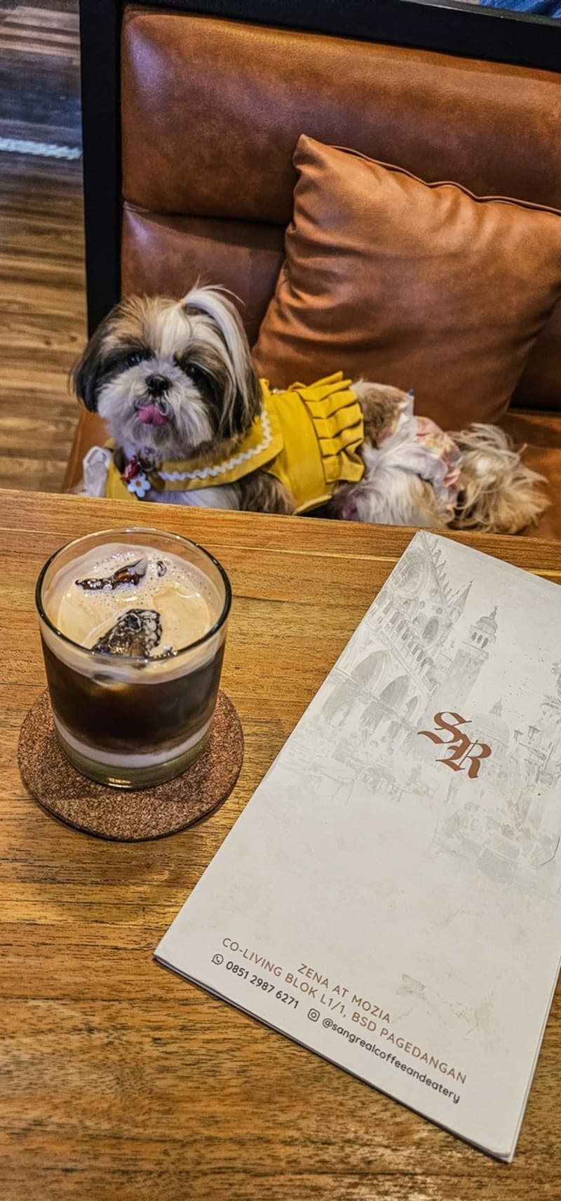 How Pet-Friendly Cafés are Changing Indonesia's Urban Lifestyle
