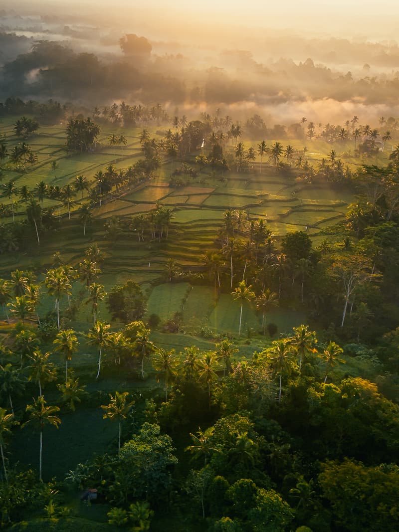 Why Ubud Should Be Your Next Bali Escape