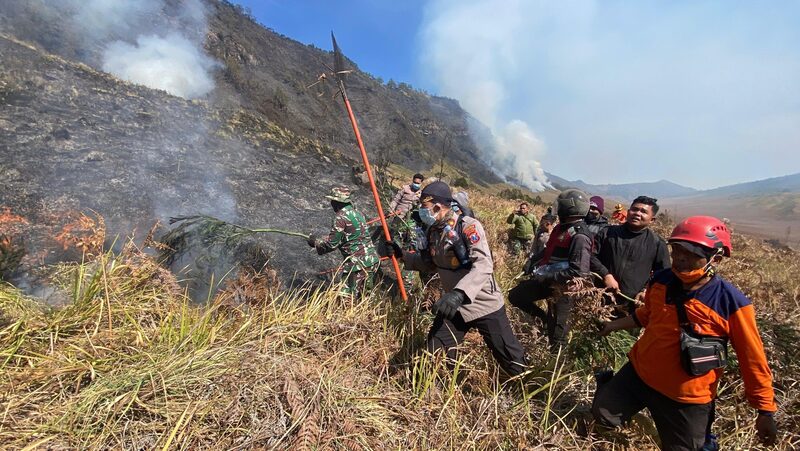 Mount Bromo Fire Burns 70 Hectares as Flames Spread Towards Malang