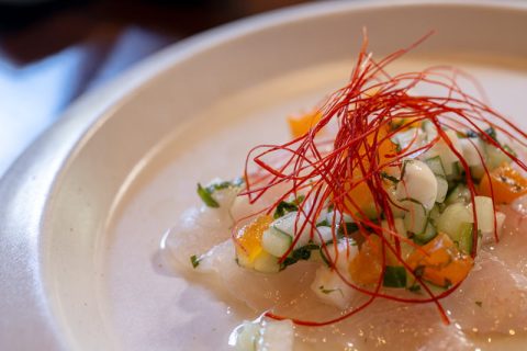Takumi - Kombujime Carpaccio