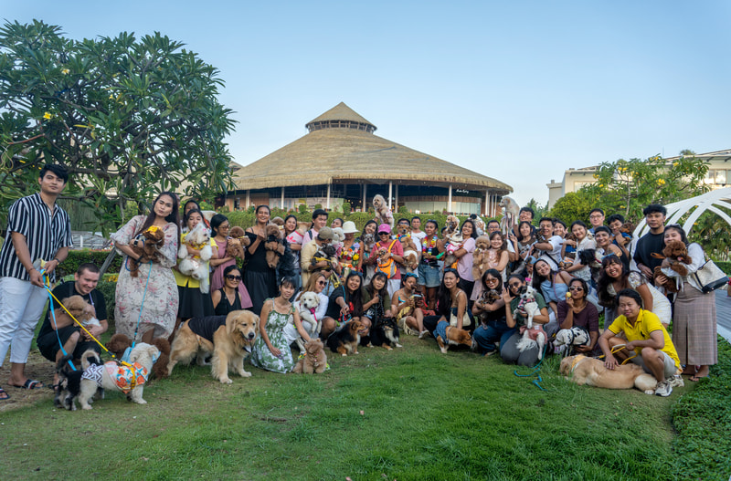 The Beauty Pawgeant Celebrates Every Dog’s Unique Beauty in Bali
