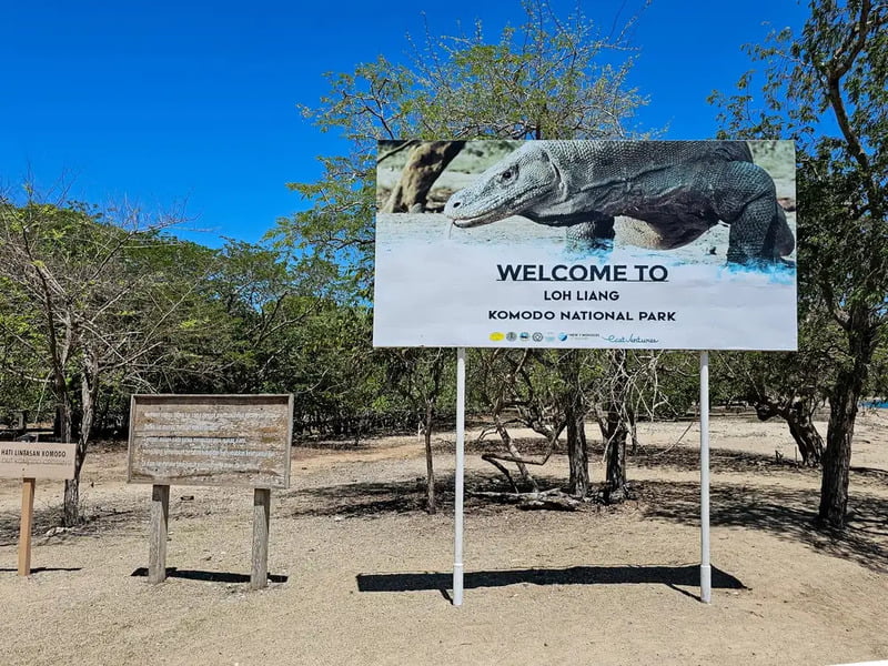 Komodo National Park Tourist Quota Increased by 500 Visitors Per Day Through Year-End