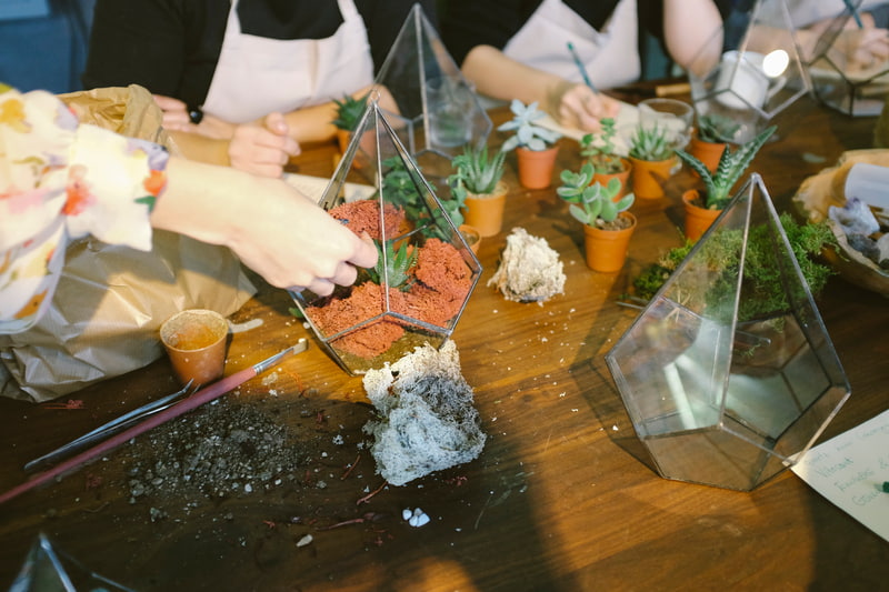 Start a New Small-Scale, Sustainable Hobby by Making Terrariums