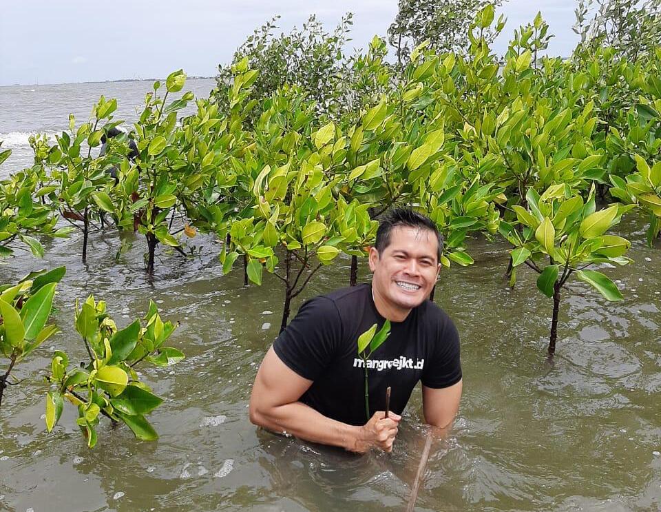 It is Time for the Expat Community to Get Involved with Mangrove Restoration in Indonesia. Here’s Why