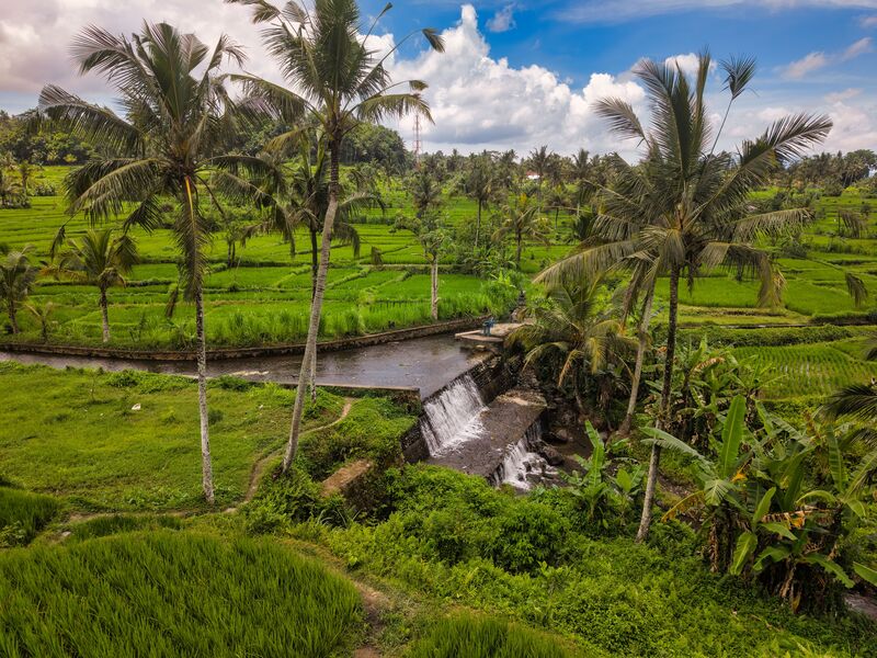 Bali - Remember the Question of Balance