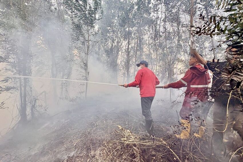 Opinion: Who Protects Those Who Fight Kalimantan's Forest Fires?