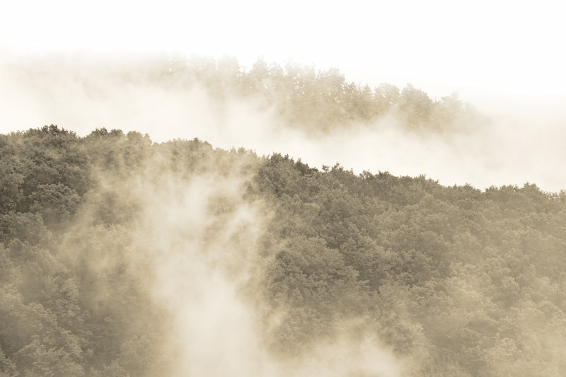 Chasing the Frankenstein Haze Monster  